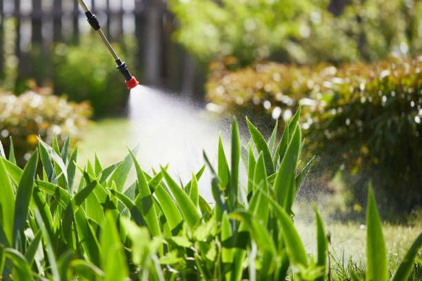 Tamper-Resistant Bait Stations for Rodents in Rigby