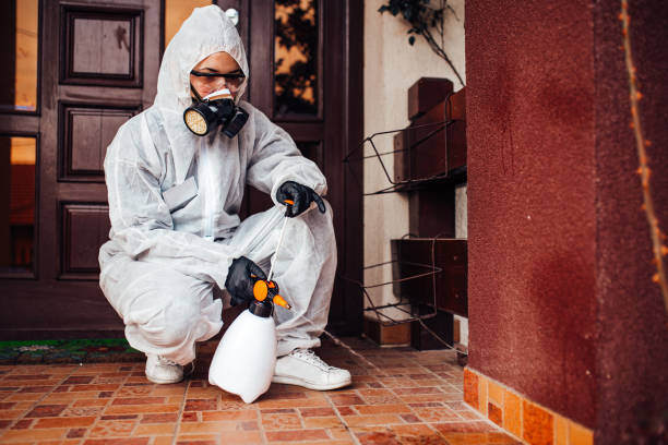 Attic and Crawl Space Rodent Treatment in Rigby