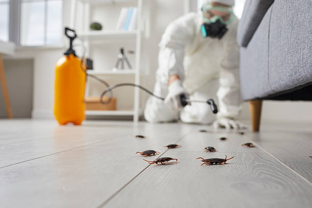 Commercial Rodent Management in Rigby